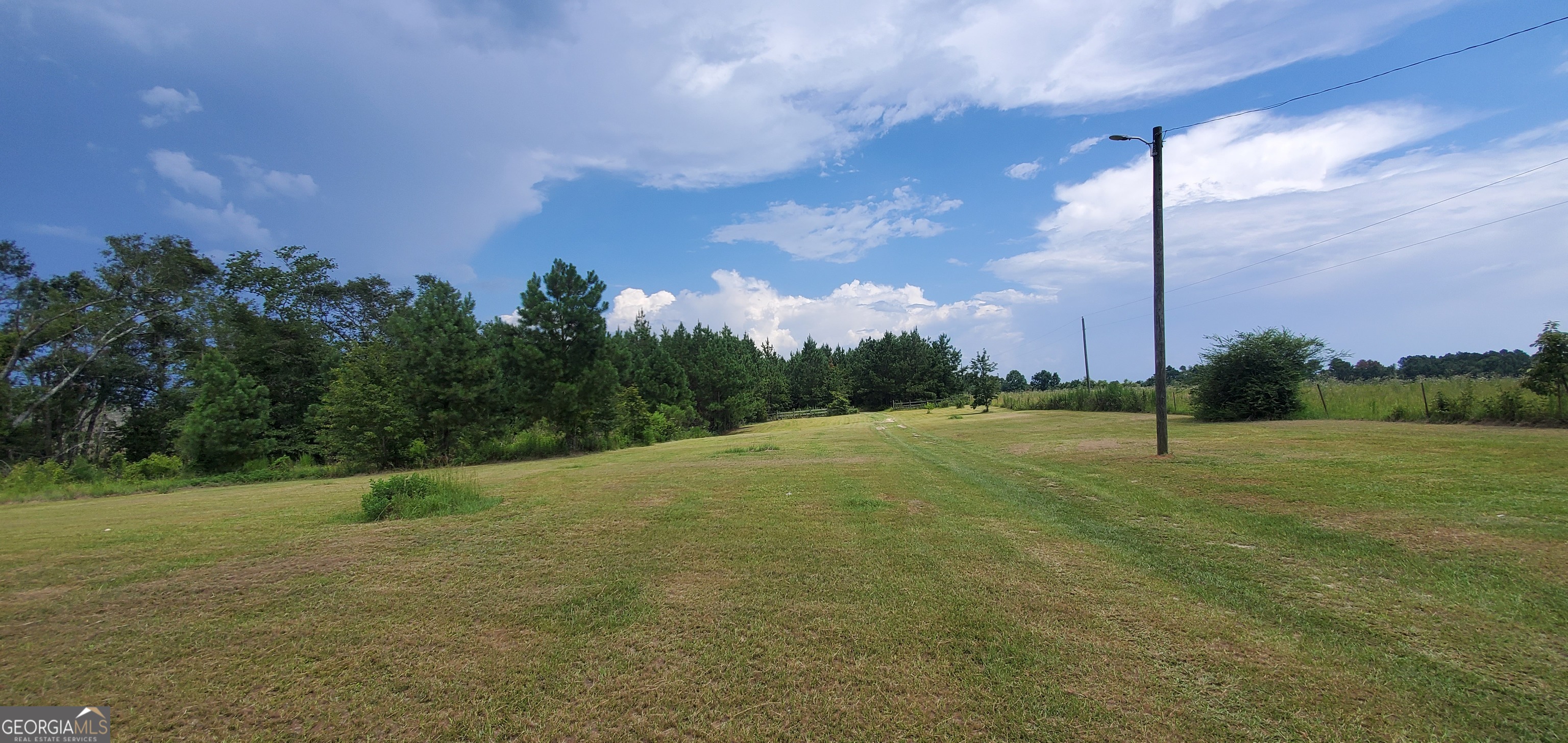 38 Highway 46 Lyons, GA 30436 - Photo 37 of 44 a view of a field with a tree in the background