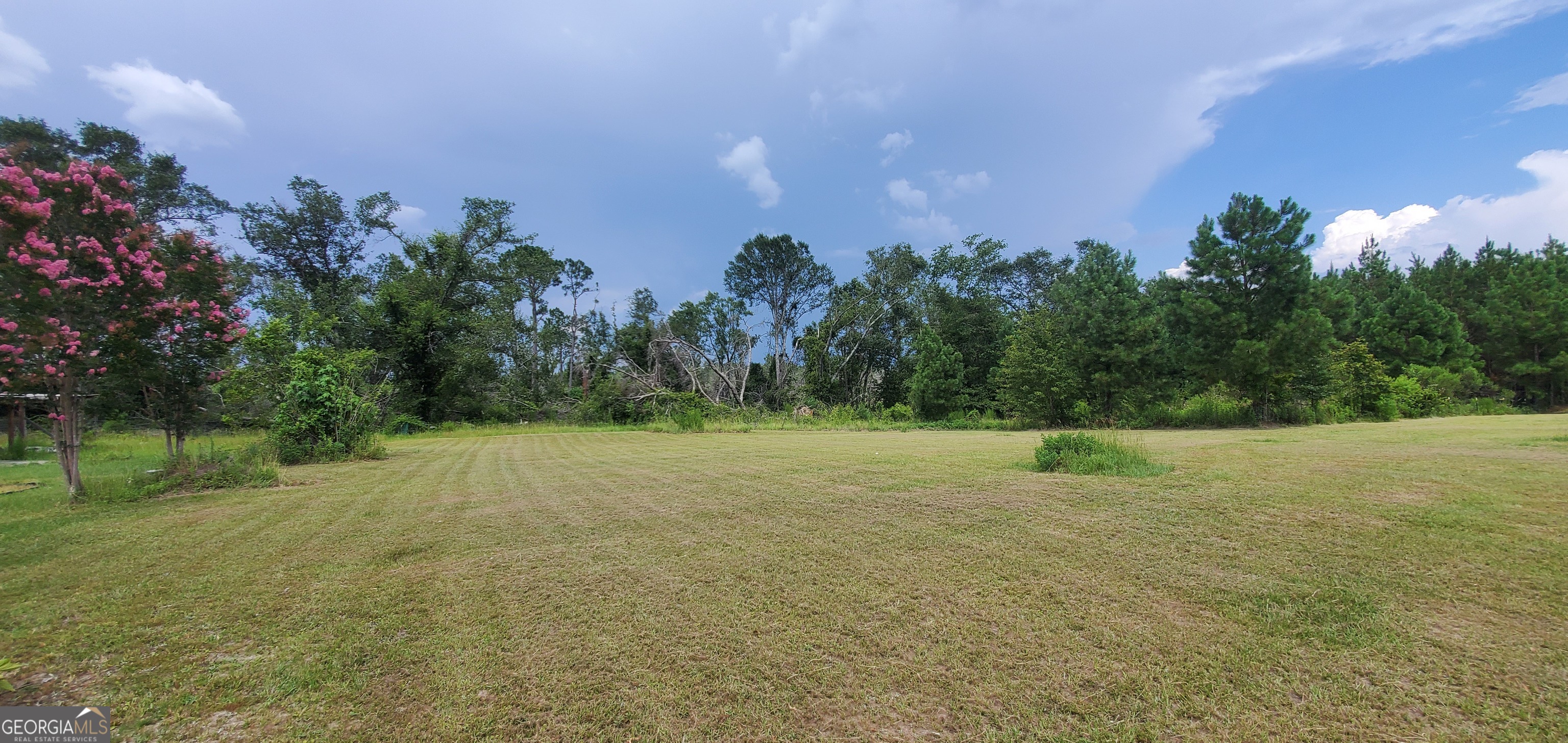 38 Highway 46 Lyons, GA 30436 - Photo 38 of 44 a view of a field with trees in background