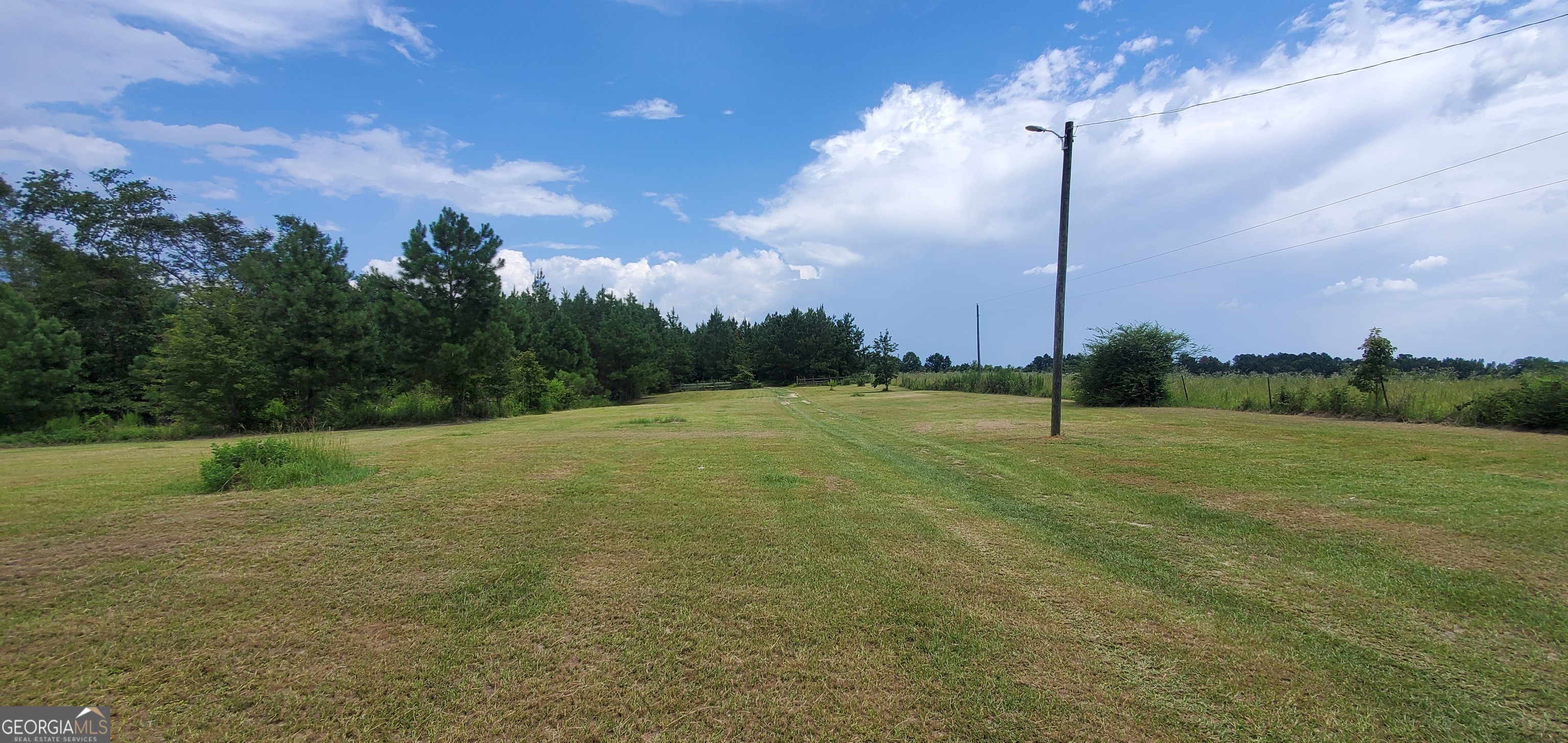 38 Highway 46 Lyons, GA 30436 - Photo 4 of 44 a view of a garden with a bridge