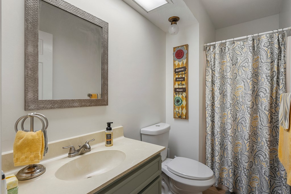 6831 Beaver Trail Midland, GA 31820 - Photo 12 of 24 a bathroom with a sink a toilet and shower curtain