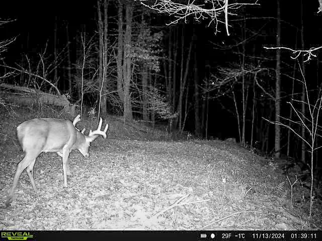 $79,900 | 33 Bolivar Ny 14715, Bolivar, NY 14715