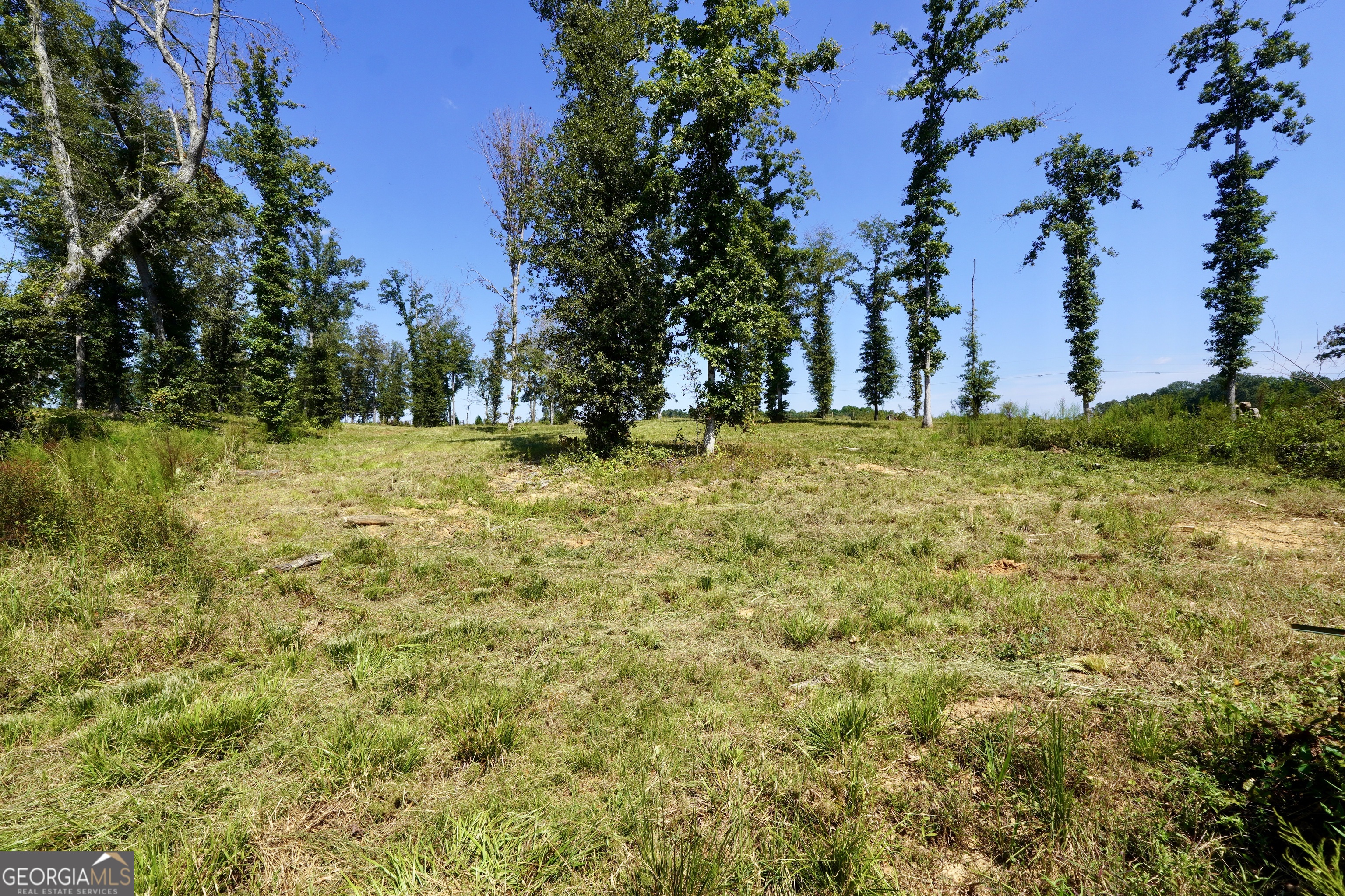 0 Walters Road Barnesville, GA 30204 - Photo 6 of 13
