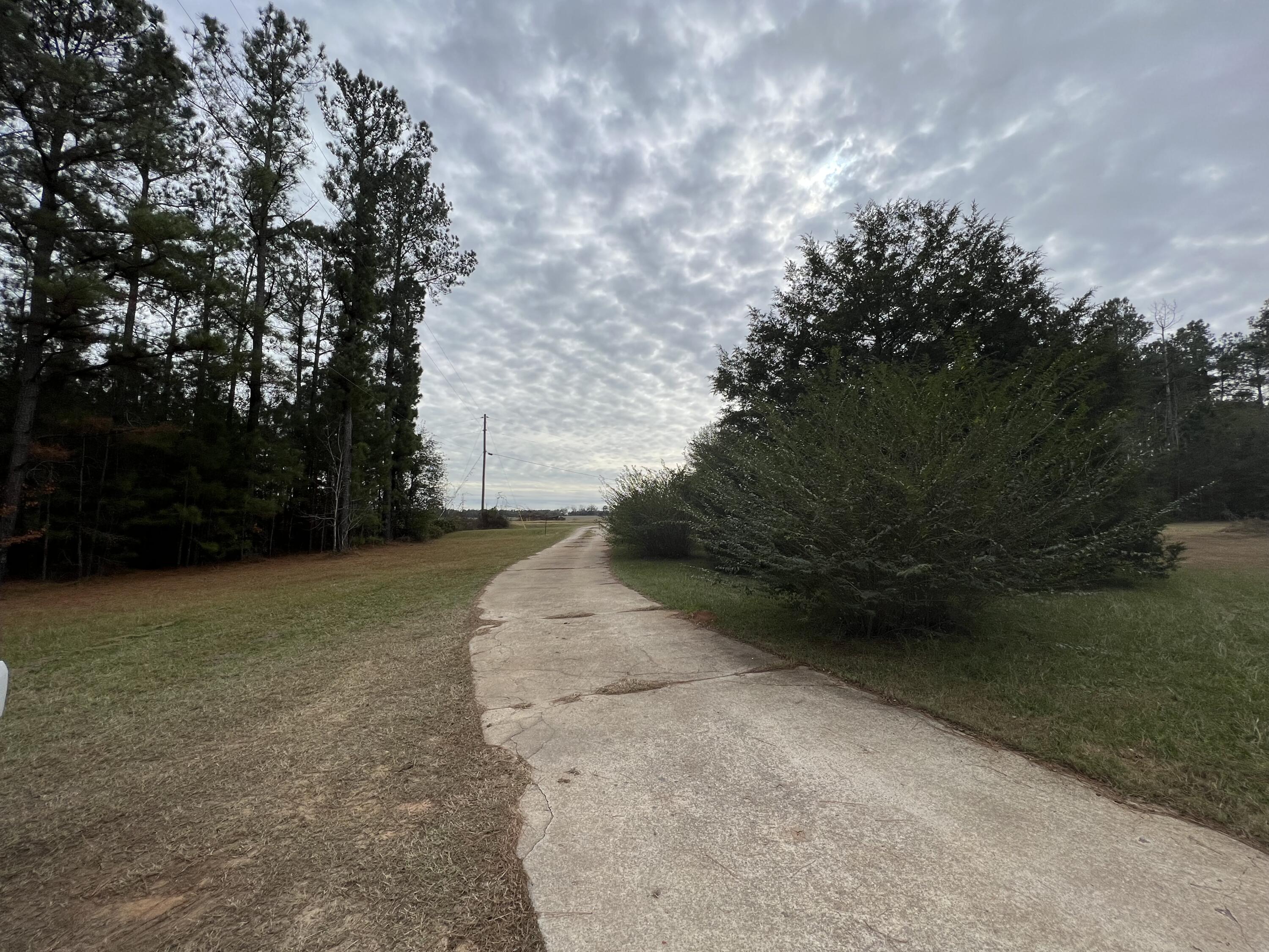 1461 Manthei Road Louisville, GA 30434 - Photo 3 of 10 Driveway- Manthei