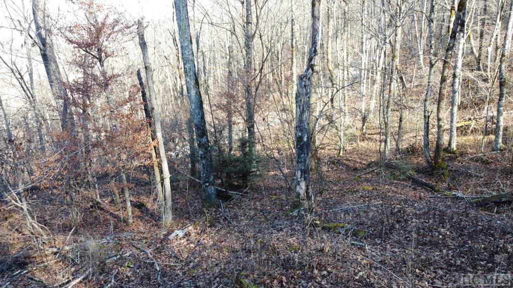 Lot 1 Walnut Gap Road Cullowhee, NC 28723 - Photo 7 of 9 Gallery Image 7