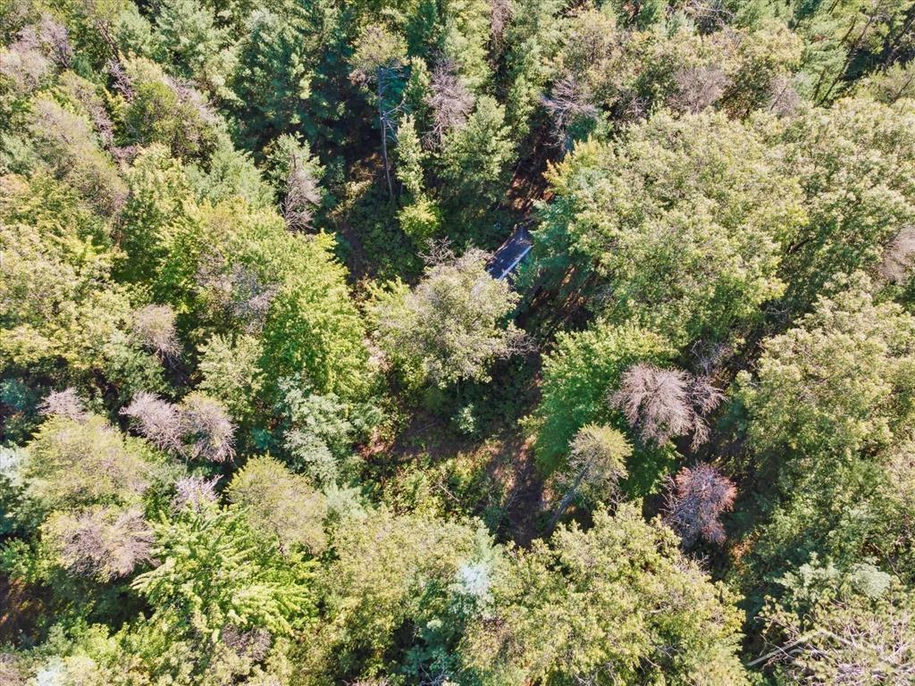 Vl Fireline Trail Alger, MI 48610 - Photo 14 of 15