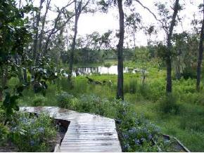 240 South Cochran Road Geneva, FL 32732 - Photo 2 of 6 Additional Photo