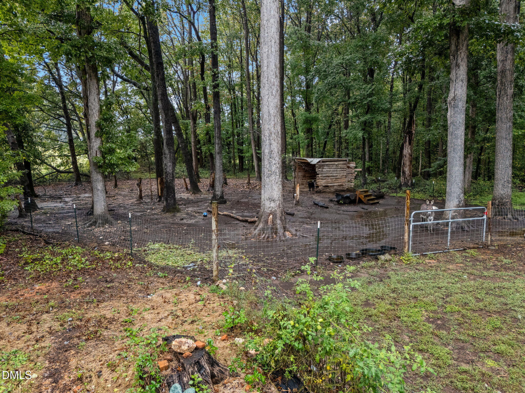 320 Dewitt Smith Road Pittsboro, NC 27312 - Photo 36 of 40 a backyard of a house with lots of green space