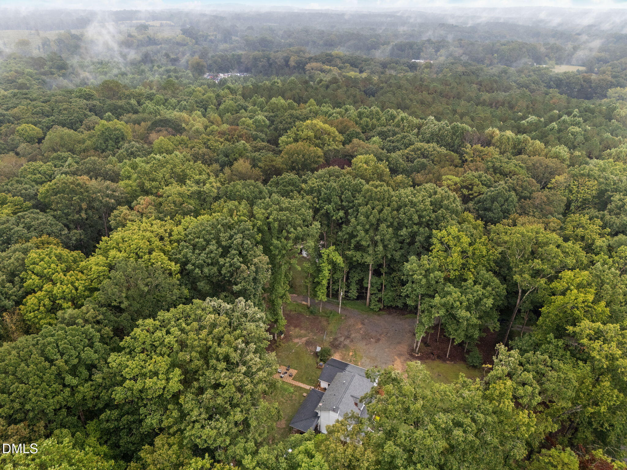 320 Dewitt Smith Road Pittsboro, NC 27312 - Photo 38 of 40 a view of a forest with a street