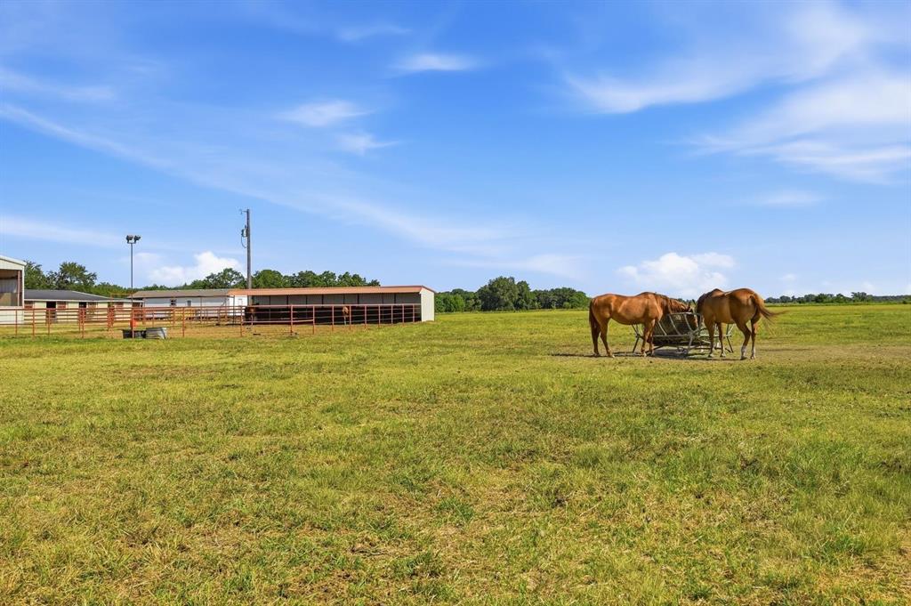 1802 Batey Road Collinsville, TX 76233 - Photo 33 of 33 Expansive green pasture with a metal-roofed barn structure and fencing
