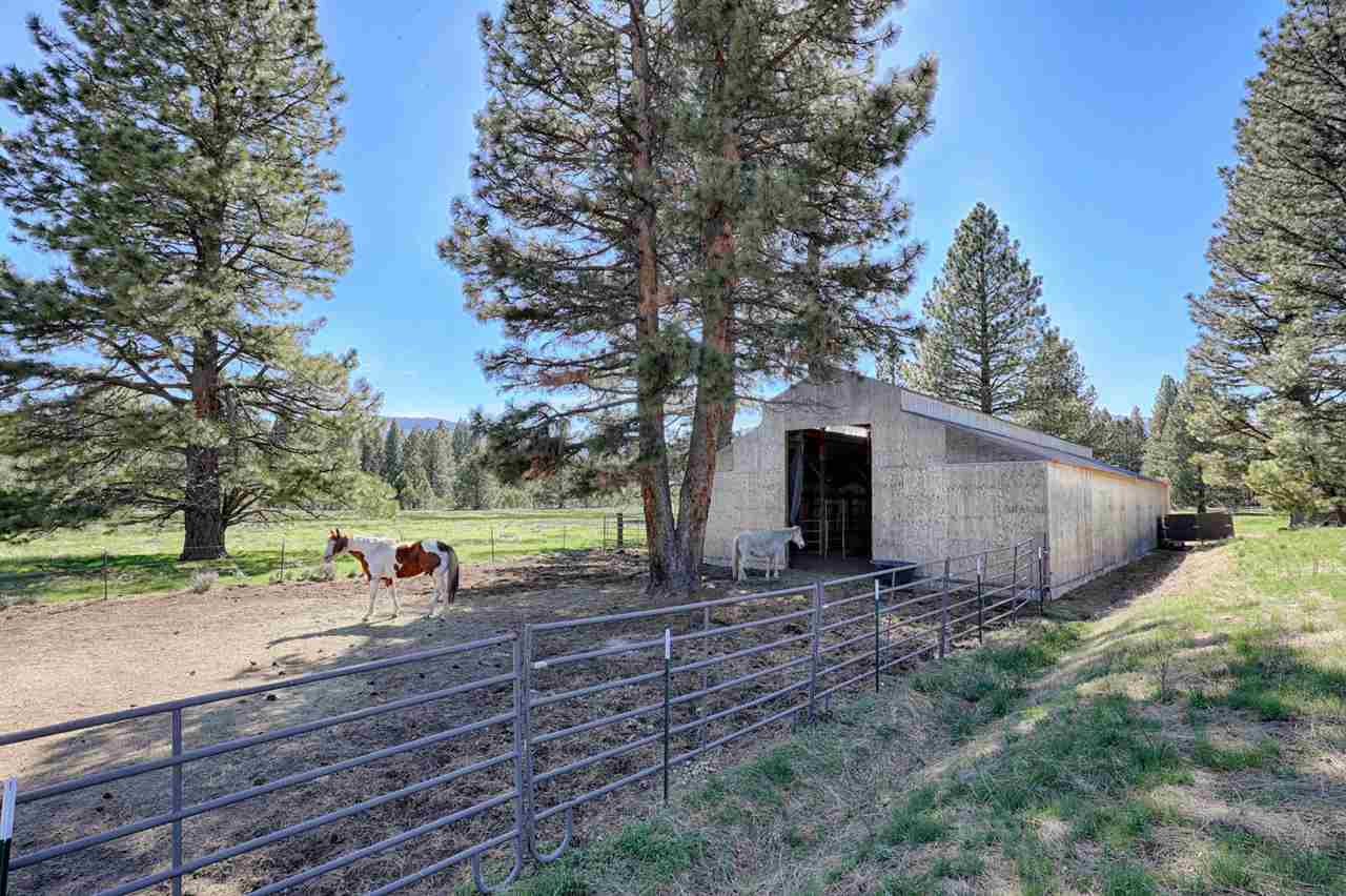21040 Highway 89 Calpine, CA 96124 - Photo 17 of 21 a view of a backyard with large trees