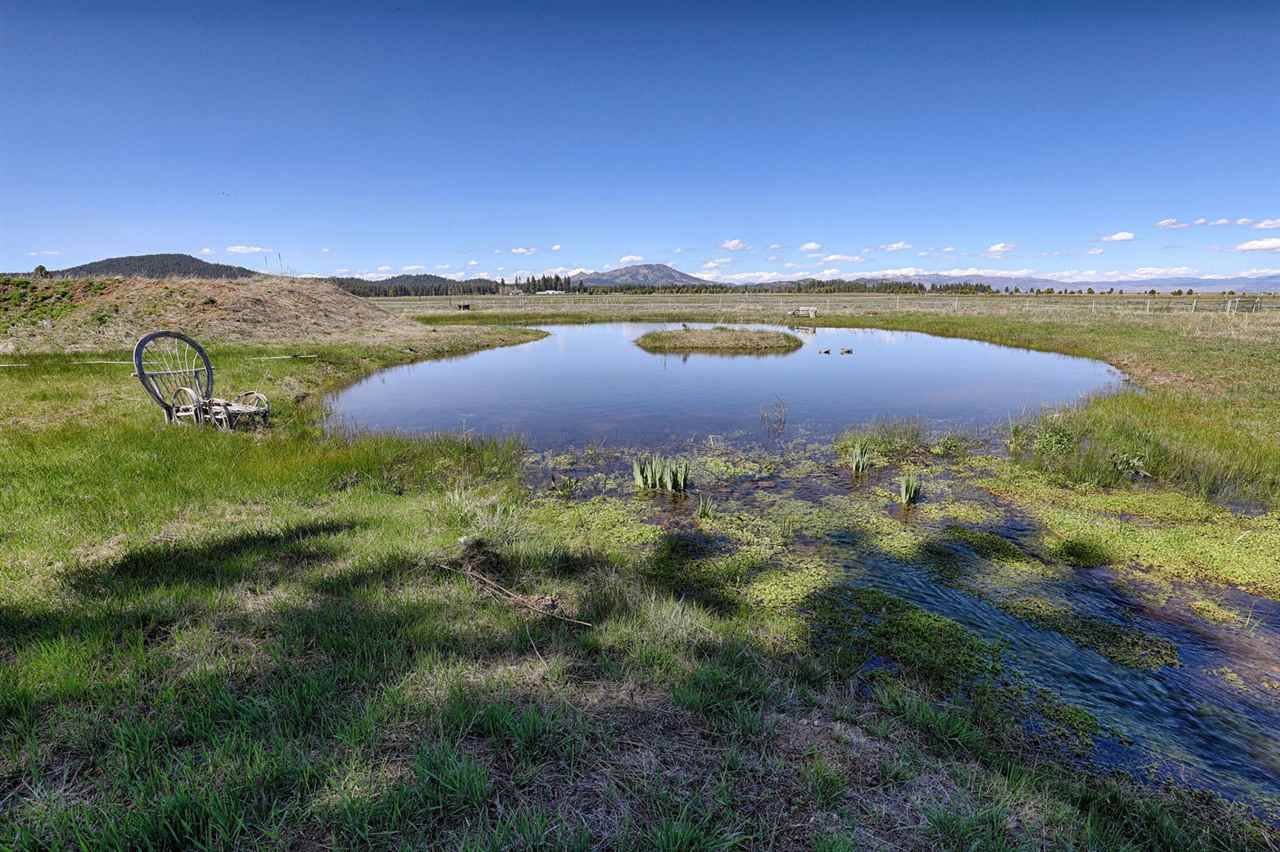21040 Highway 89 Calpine, CA 96124 - Photo 19 of 21 a view of an outdoor space and a lake view