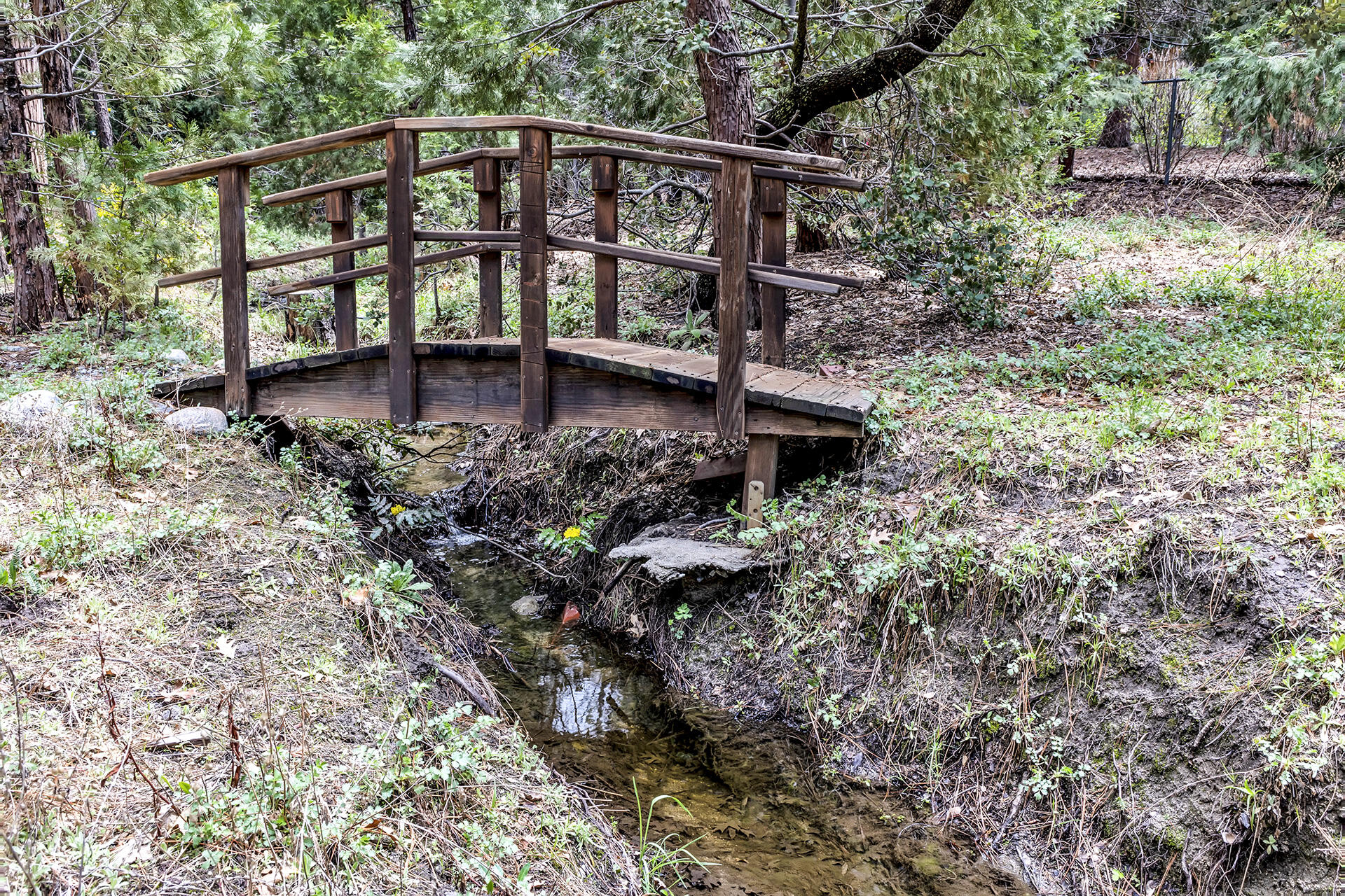 54580 Reed Lane Idyllwild, CA 92549 - Photo 78 of 101 IMG_0375