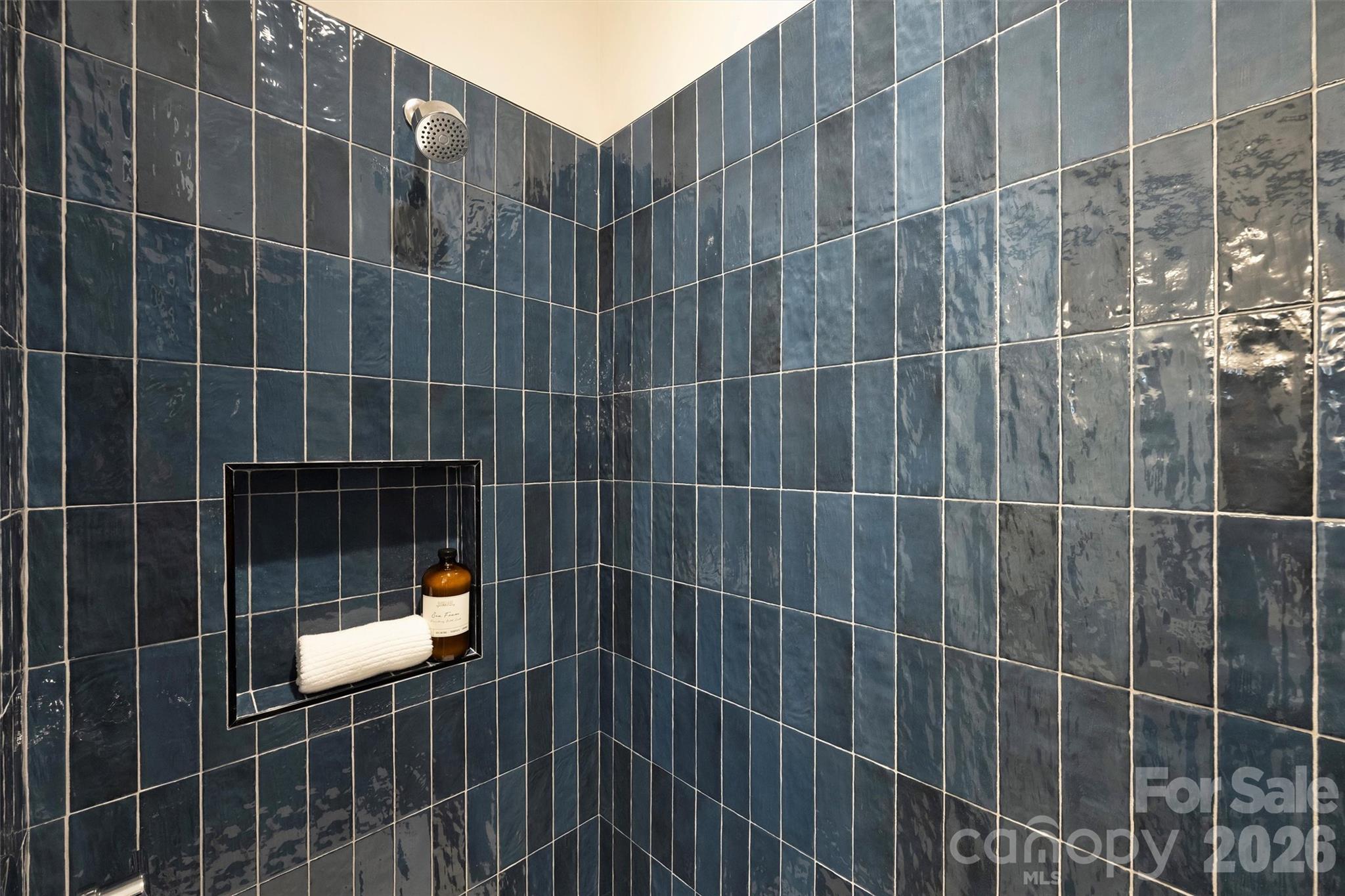 2295 Lee Lawing Road Lincolnton, NC 28092 - Photo 27 of 43 a bathroom with a shower