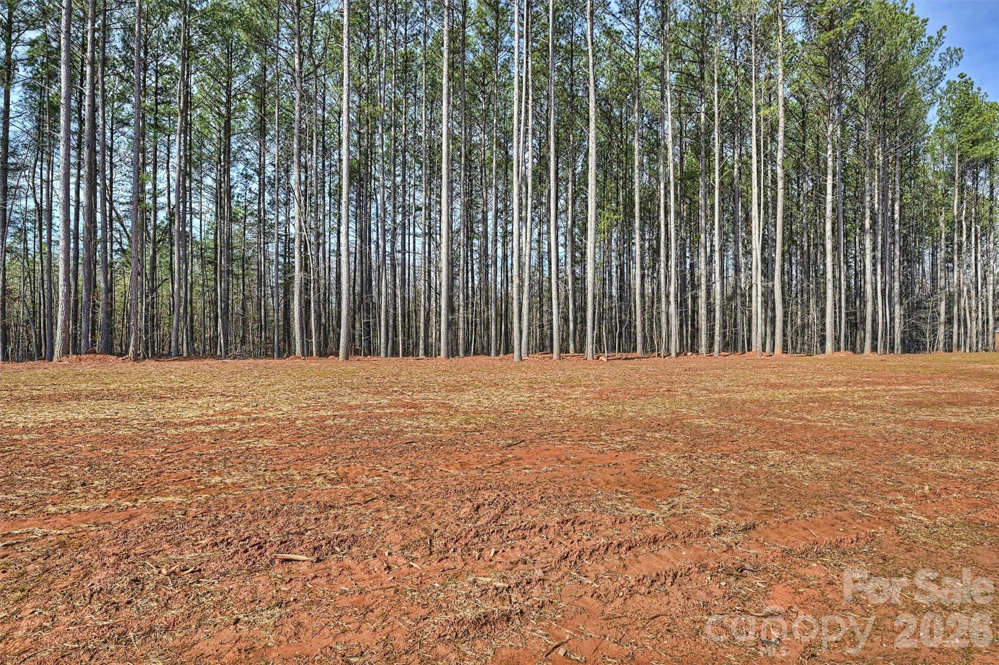 2295 Lee Lawing Road Lincolnton, NC 28092 - Photo 40 of 43 a view of a backyard