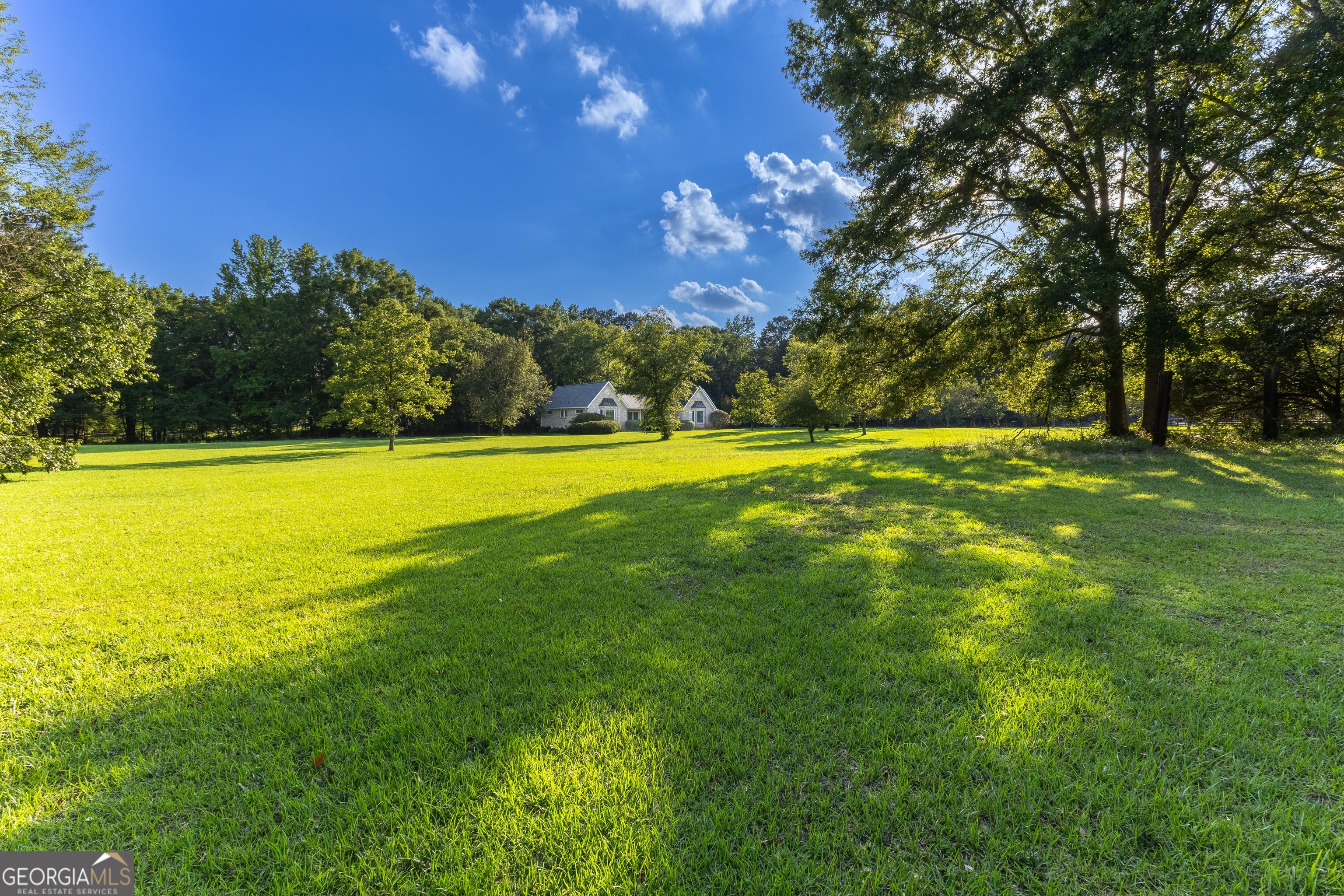 716 Snead Road Fayetteville, GA 30215 - Photo 53 of 55