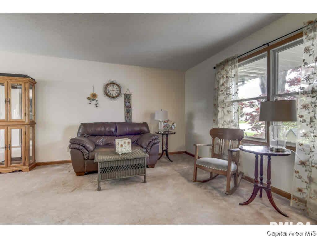 8 Taft Drive Rochester, IL 62563 - Photo 8 of 36
