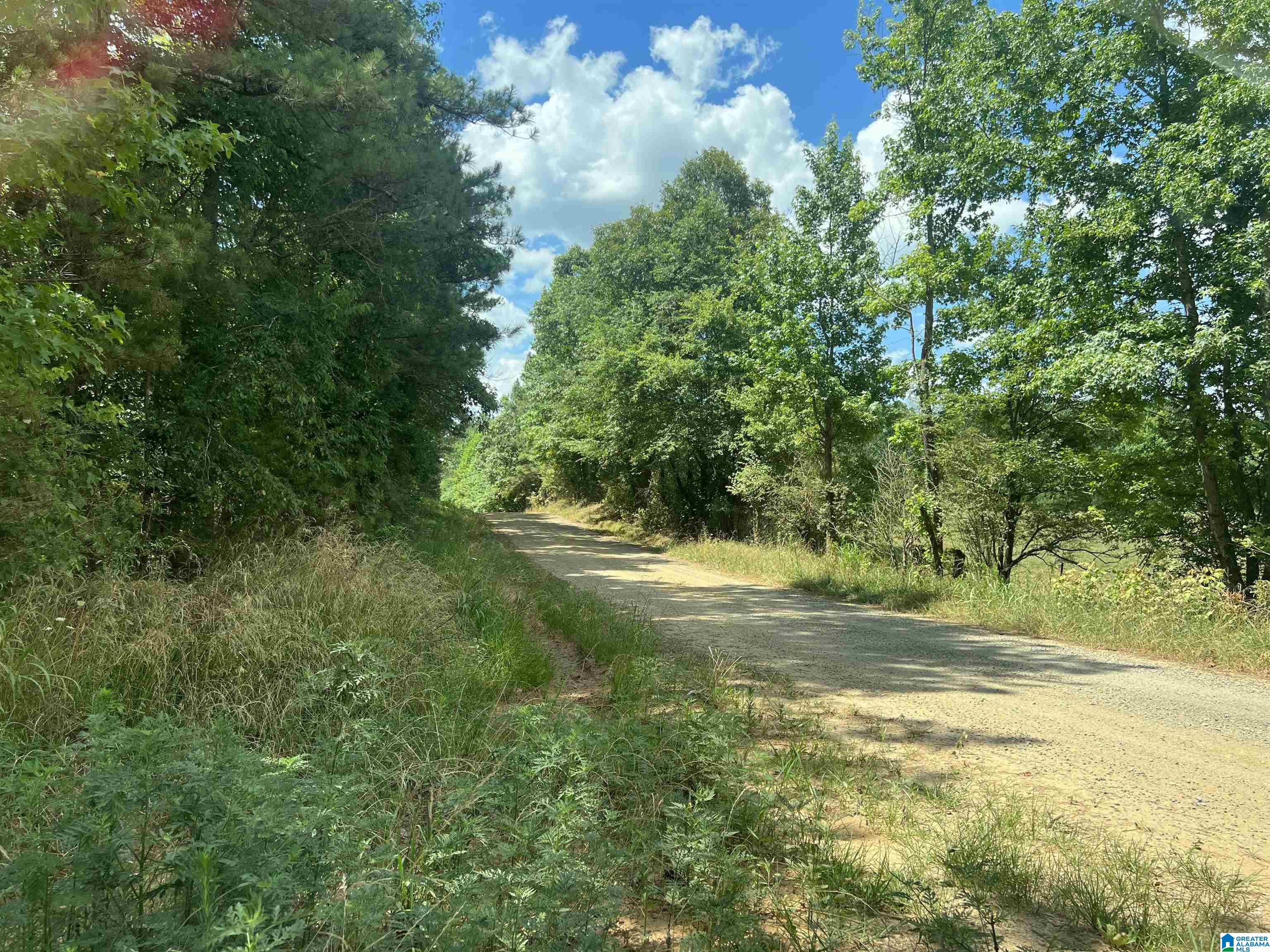 0 County Road 689, Unit 1 Ranburne, AL 36273 - Photo 11 of 69