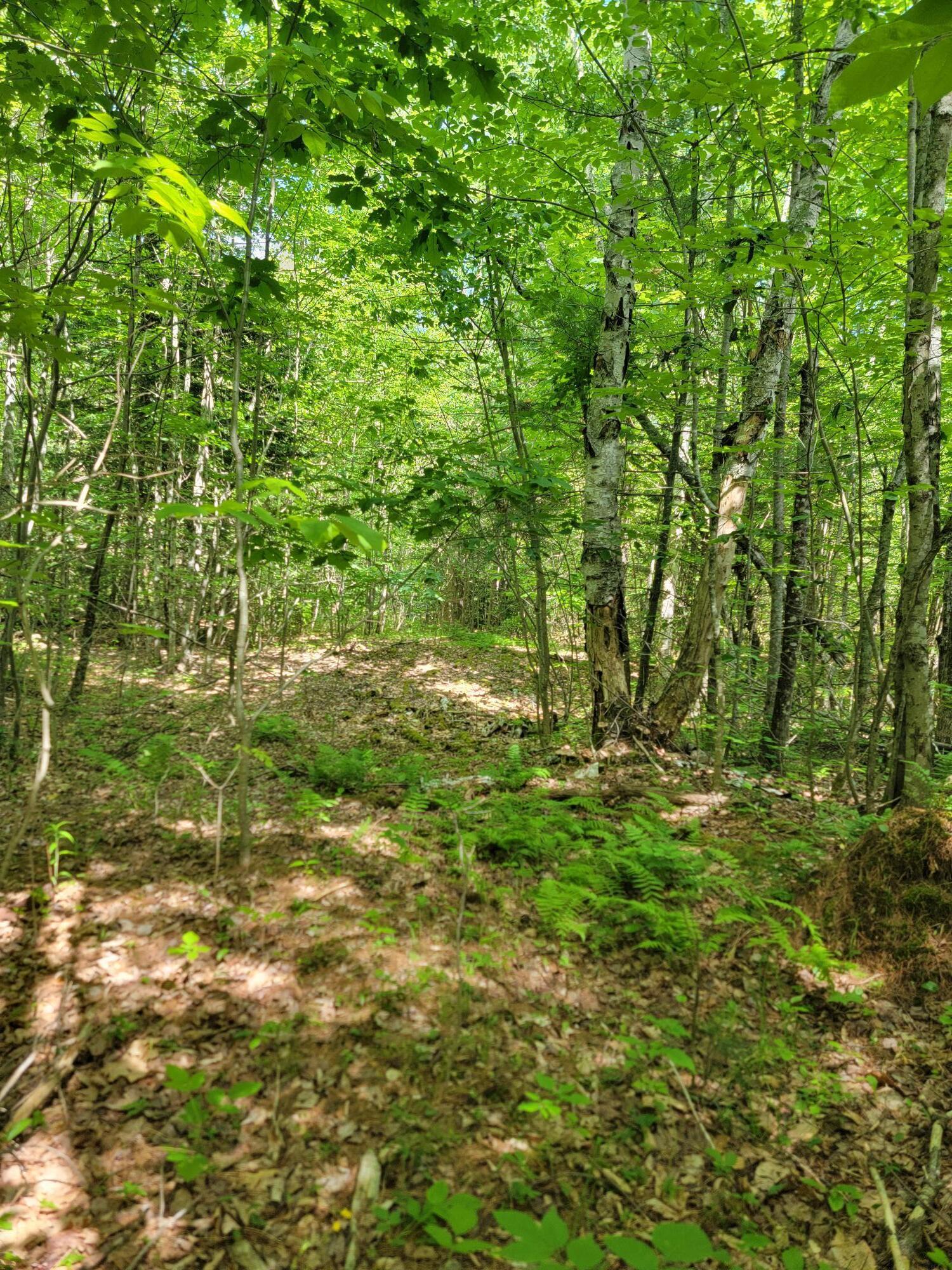 477 Hadley Mill Road Jackson, ME 04921 - Photo 23 of 32