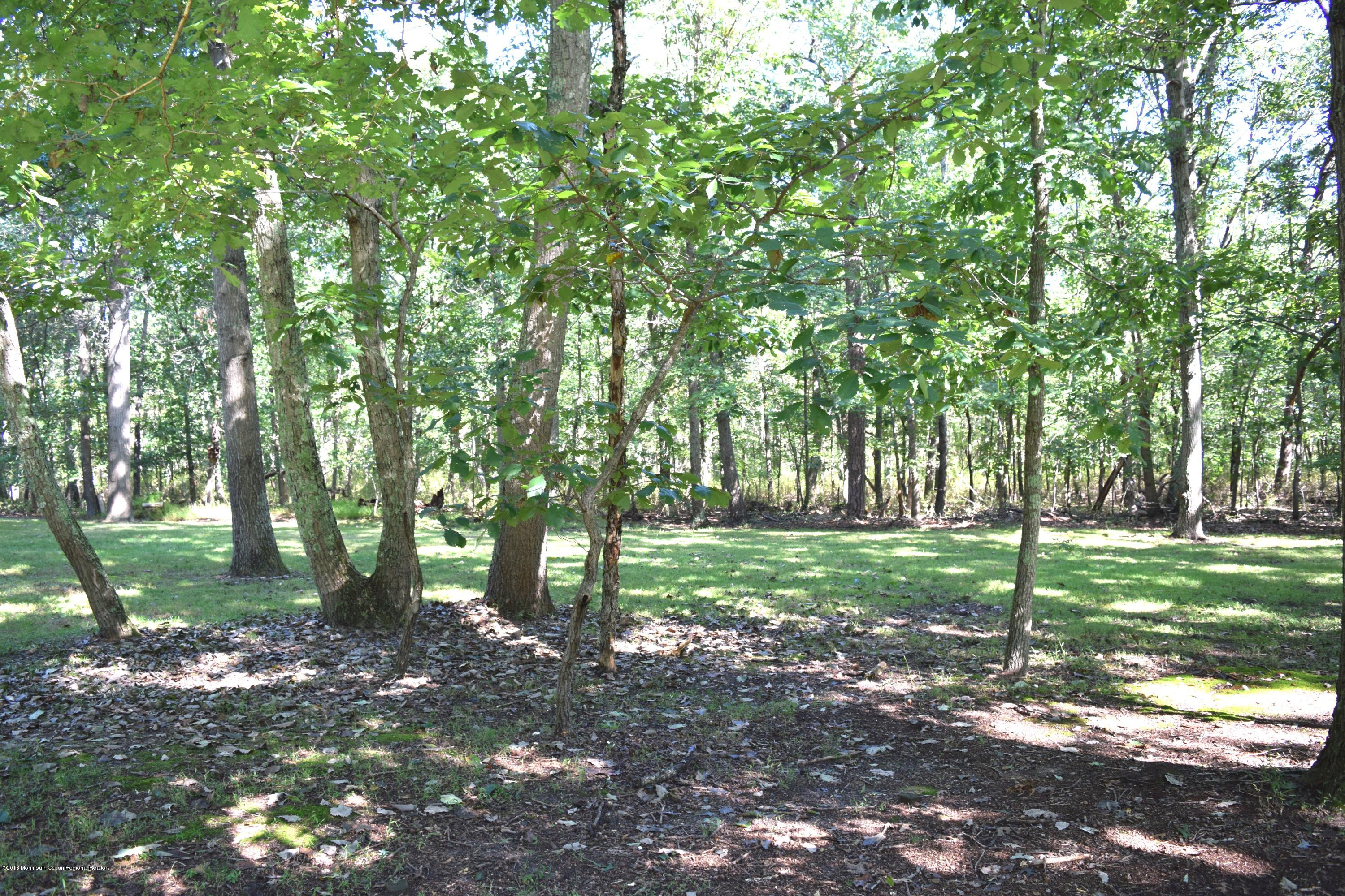 17 Dunhill Road Jackson, NJ 08527 - Photo 24 of 28 a view of a yard with lots of trees