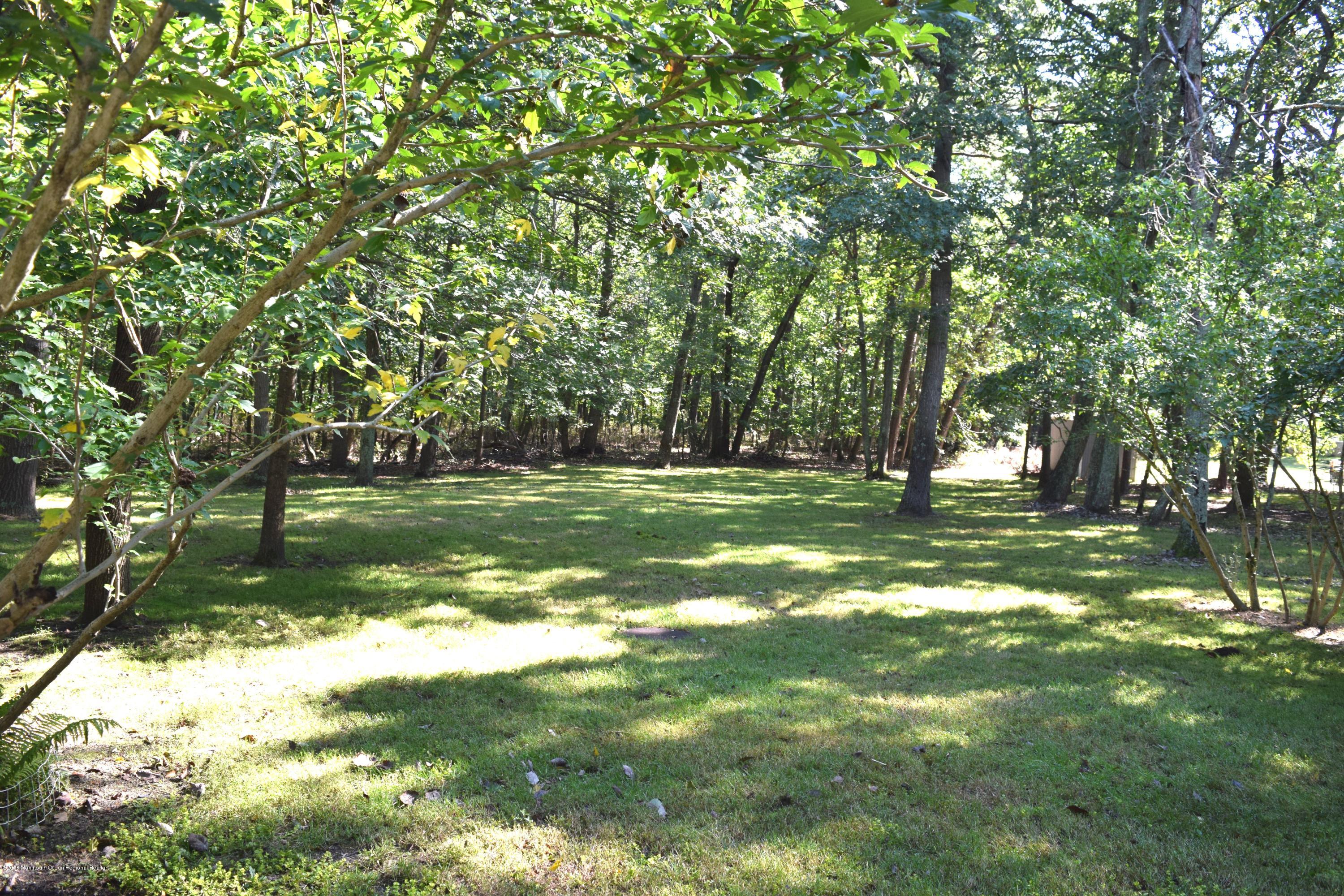 17 Dunhill Road Jackson, NJ 08527 - Photo 25 of 28 a view of a tree next to a yard