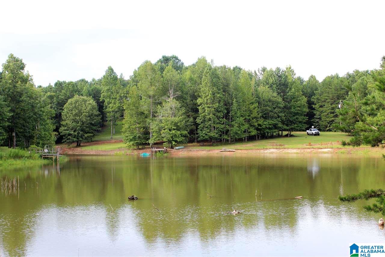 801 County Road 928 Delta, AL 36258 - Photo 28 of 34
