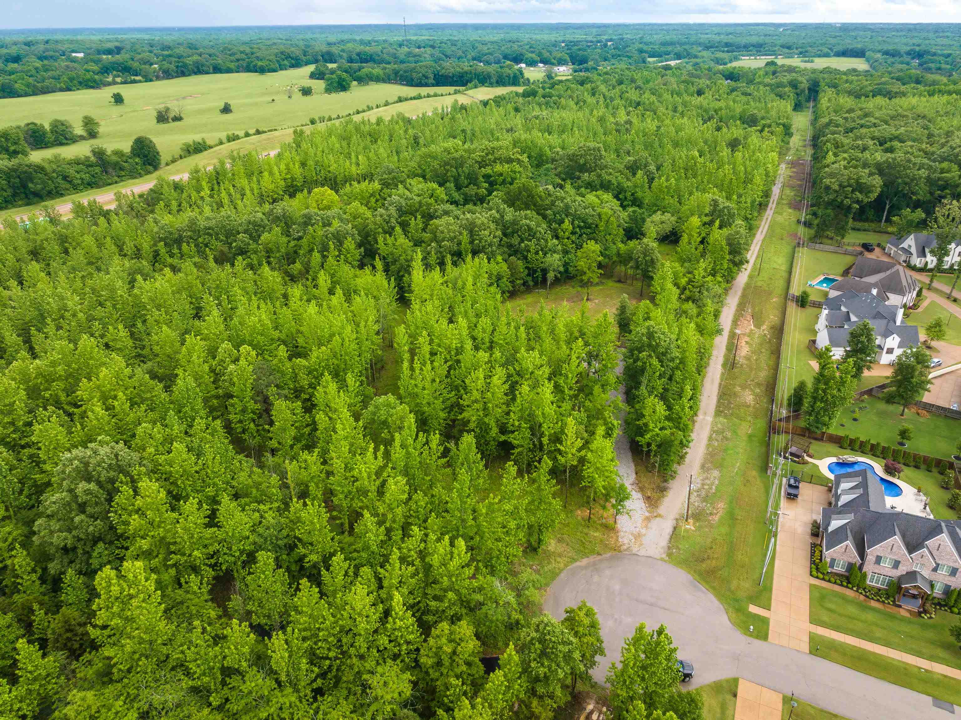 12800 Mags Lane Collierville, TN 38017 - Photo 4 of 16