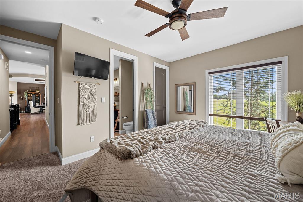 32 Taylors Way Foristell, MO 63348 - Photo 66 of 99