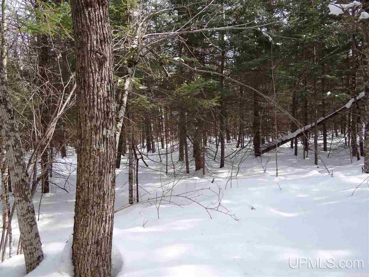Tbd Dogpatch Road, Unit LOT A Lanse, MI 49946 - Photo 10 of 18