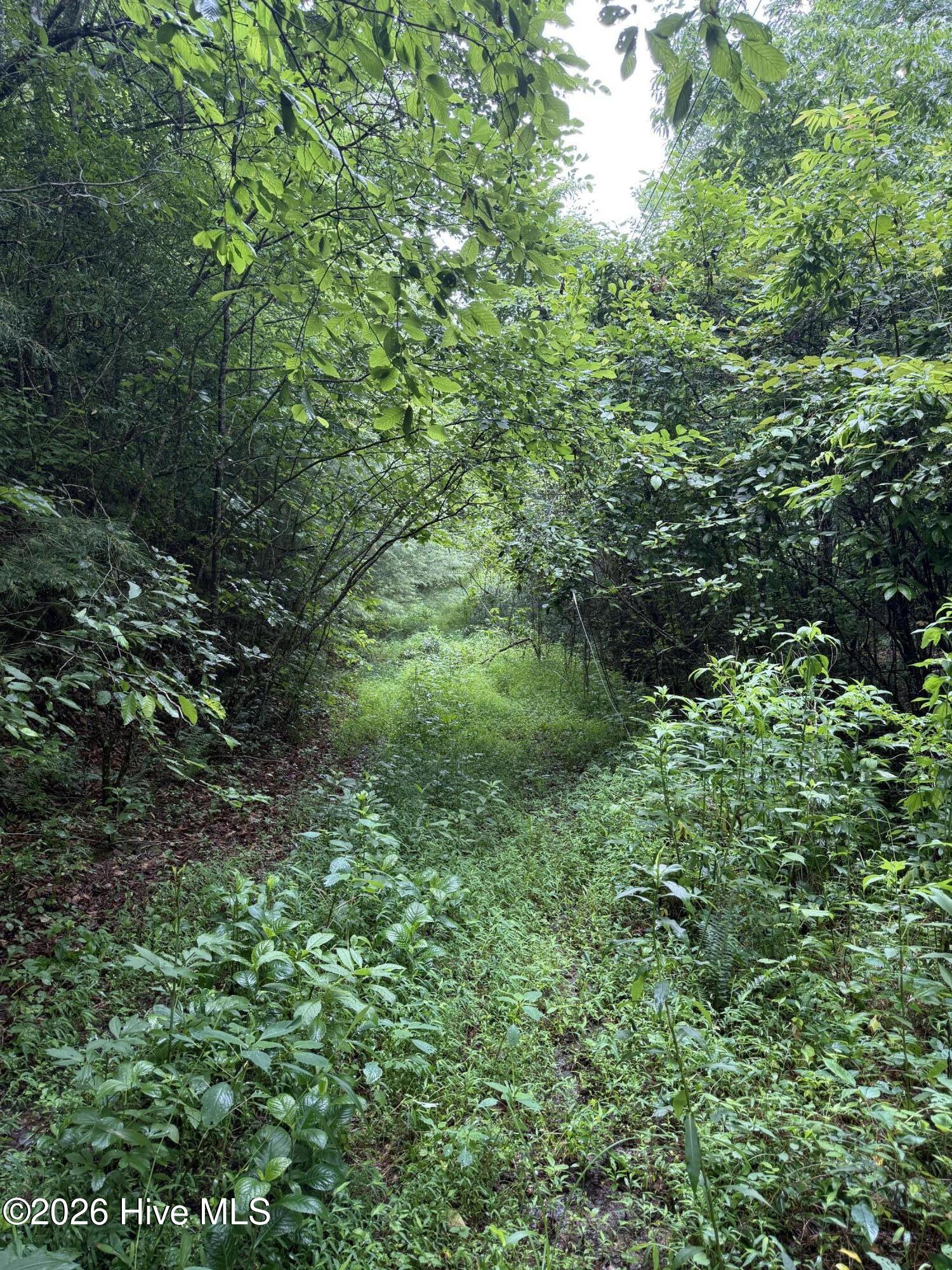 0 Poley Morrow Road Murphy, NC 28906 - Photo 3 of 3