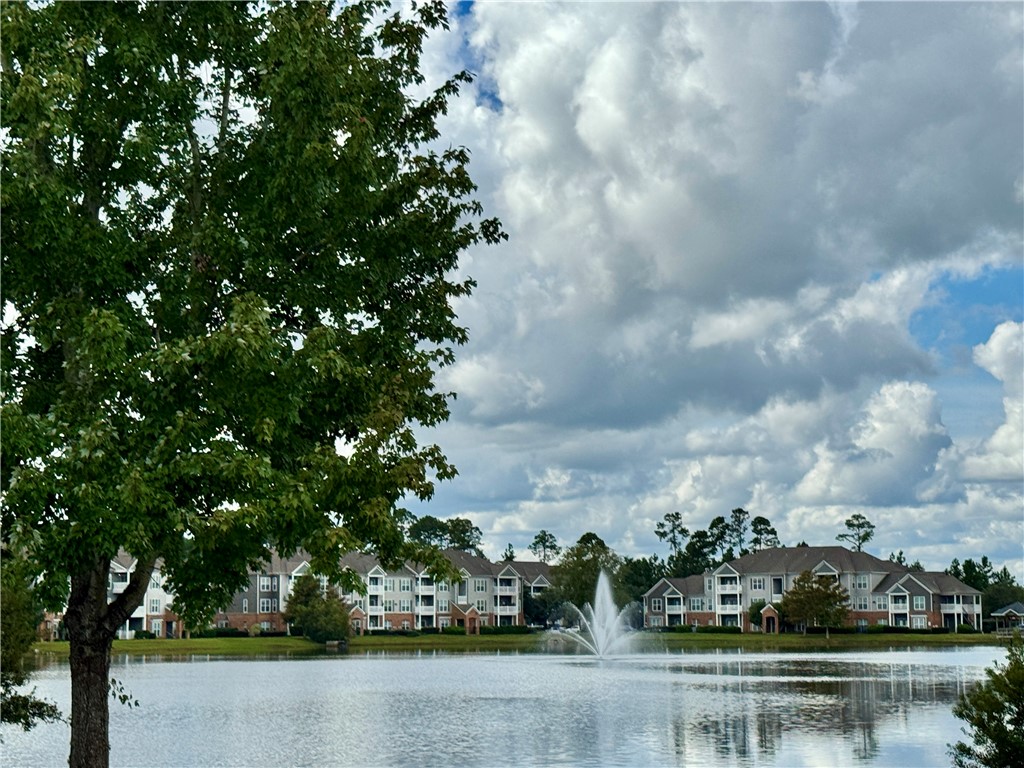 291 Bottlebrush Walk Brunswick, GA 31525 - Photo 37 of 37 Luxury Amenities