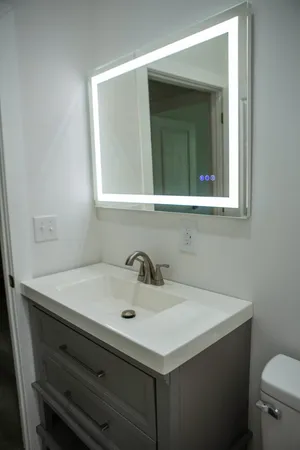 a bathroom with a sink and a toilet