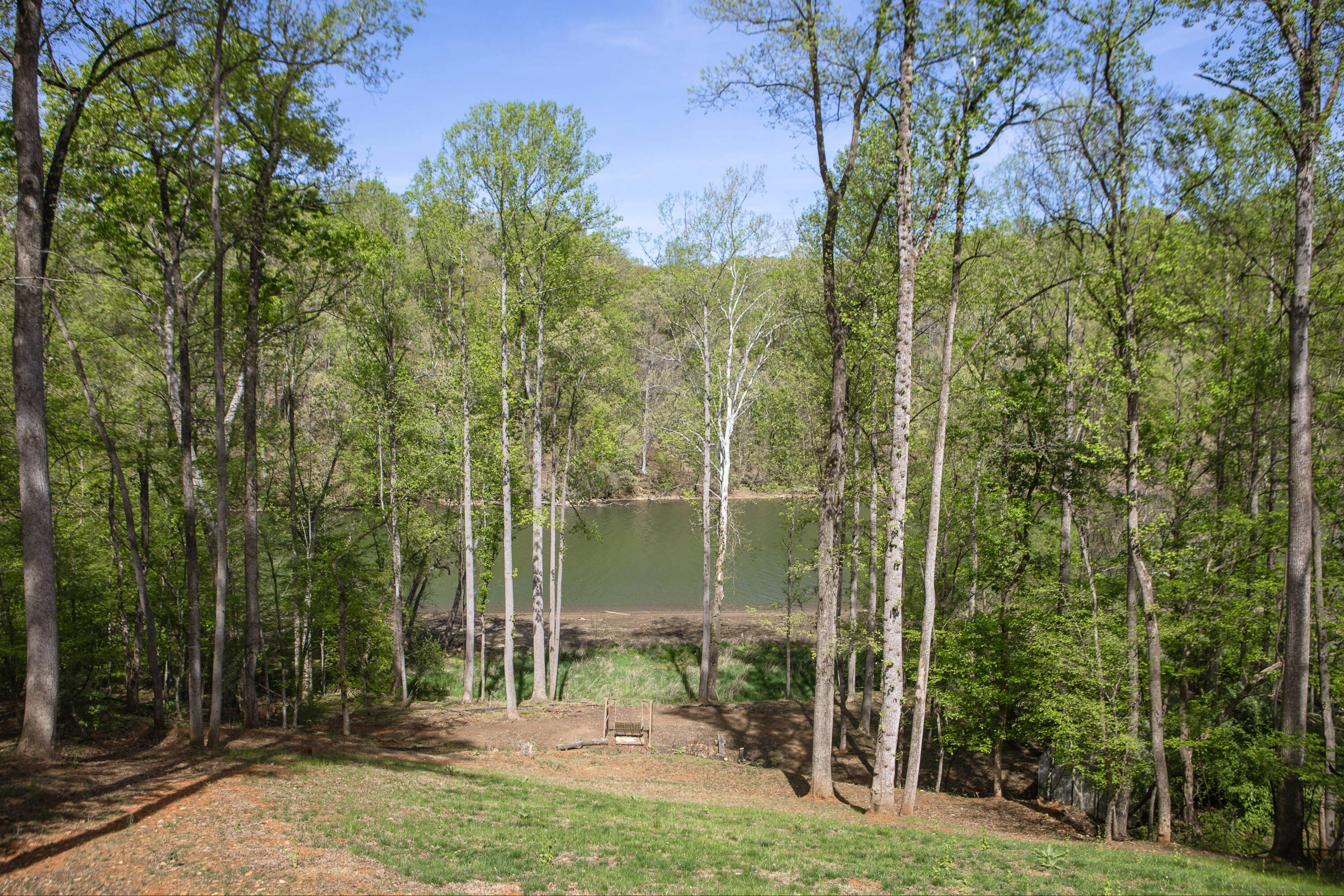 80 Lakeshore Terrace Road Hardy, VA 24101 - Photo 30 of 32 Picture 30 (1)