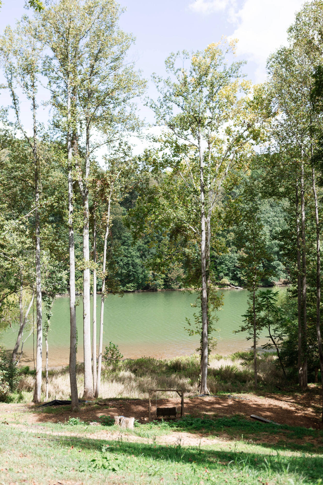 80 Lakeshore Terrace Road Hardy, VA 24101 - Photo 31 of 32 Picture 31 (1)