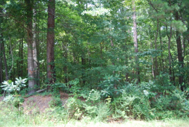 1491 Wesleyan Drive Macon, GA 31210 - Photo 1 of 2 Primary Photo