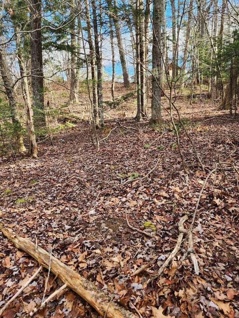 86 Oak Hill Road Belfast, ME 04915 - Photo 4 of 6
