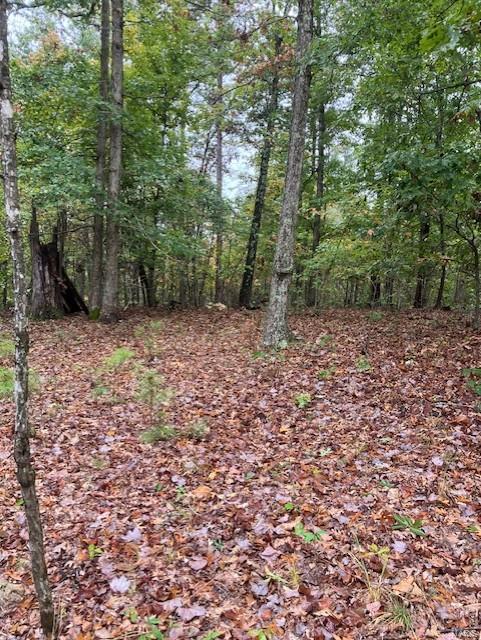 160 Madison Cr Fredericktown, MO 63645 - Photo 2 of 10