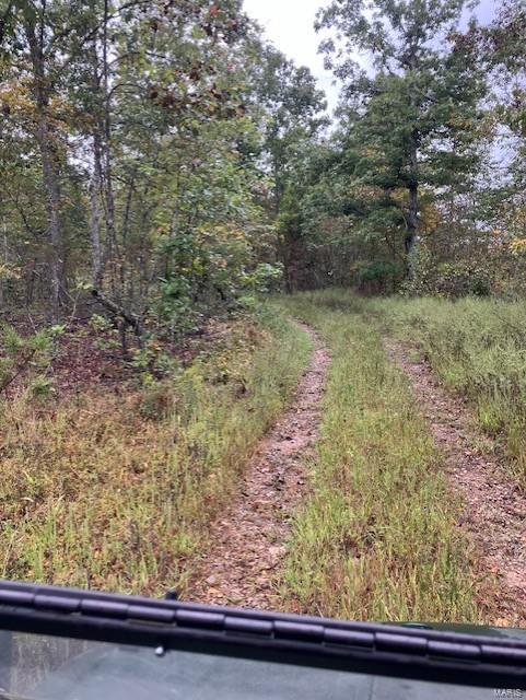 160 Madison Cr Fredericktown, MO 63645 - Photo 4 of 10