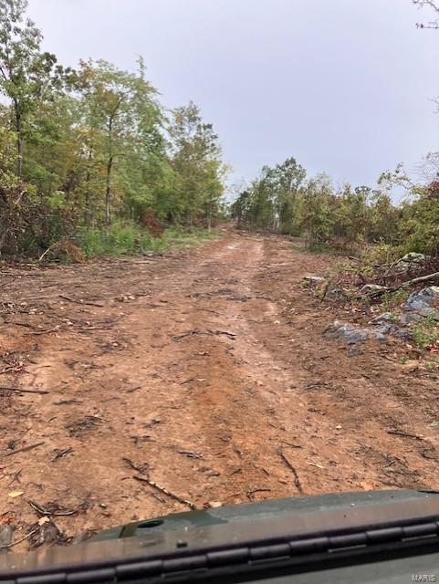 160 Madison Cr Fredericktown, MO 63645 - Photo 5 of 10