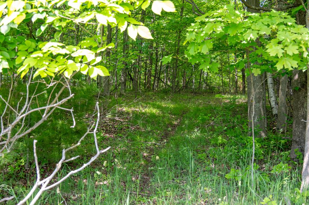 Tbd Logerquist Road Baileys Harbor, WI 54202 - Photo 24 of 38 Gallery Image 24