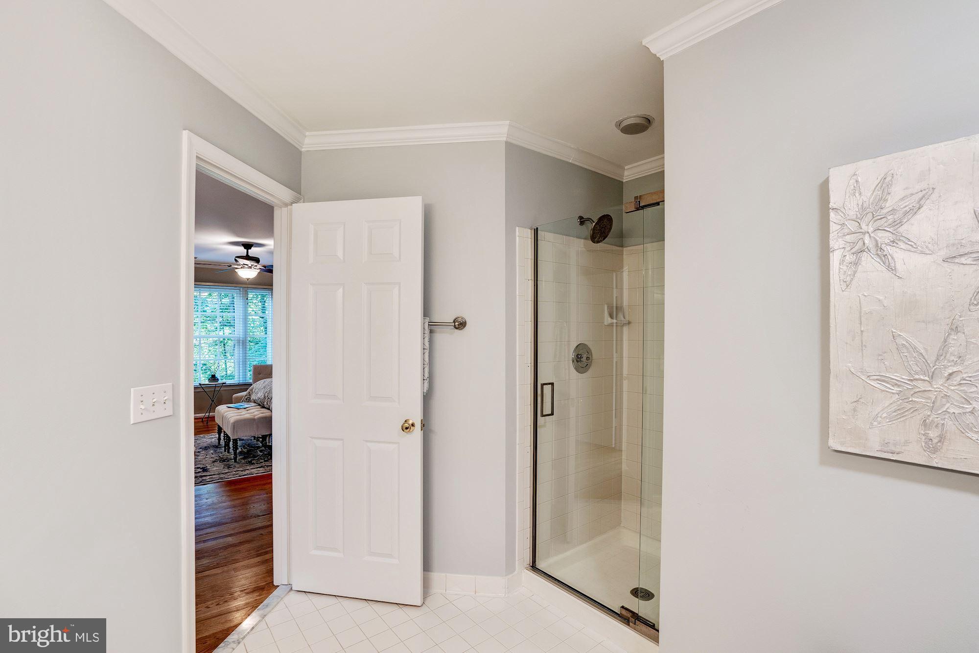 11403 Hollow Timber Way Reston, VA 20194 - Photo 22 of 45 Master Bath
