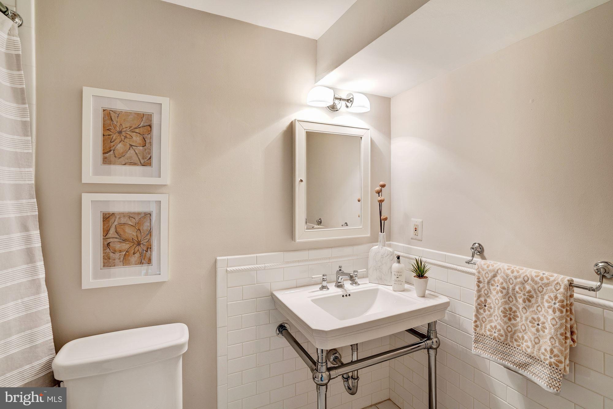 11403 Hollow Timber Way Reston, VA 20194 - Photo 31 of 45 Full LL Bath