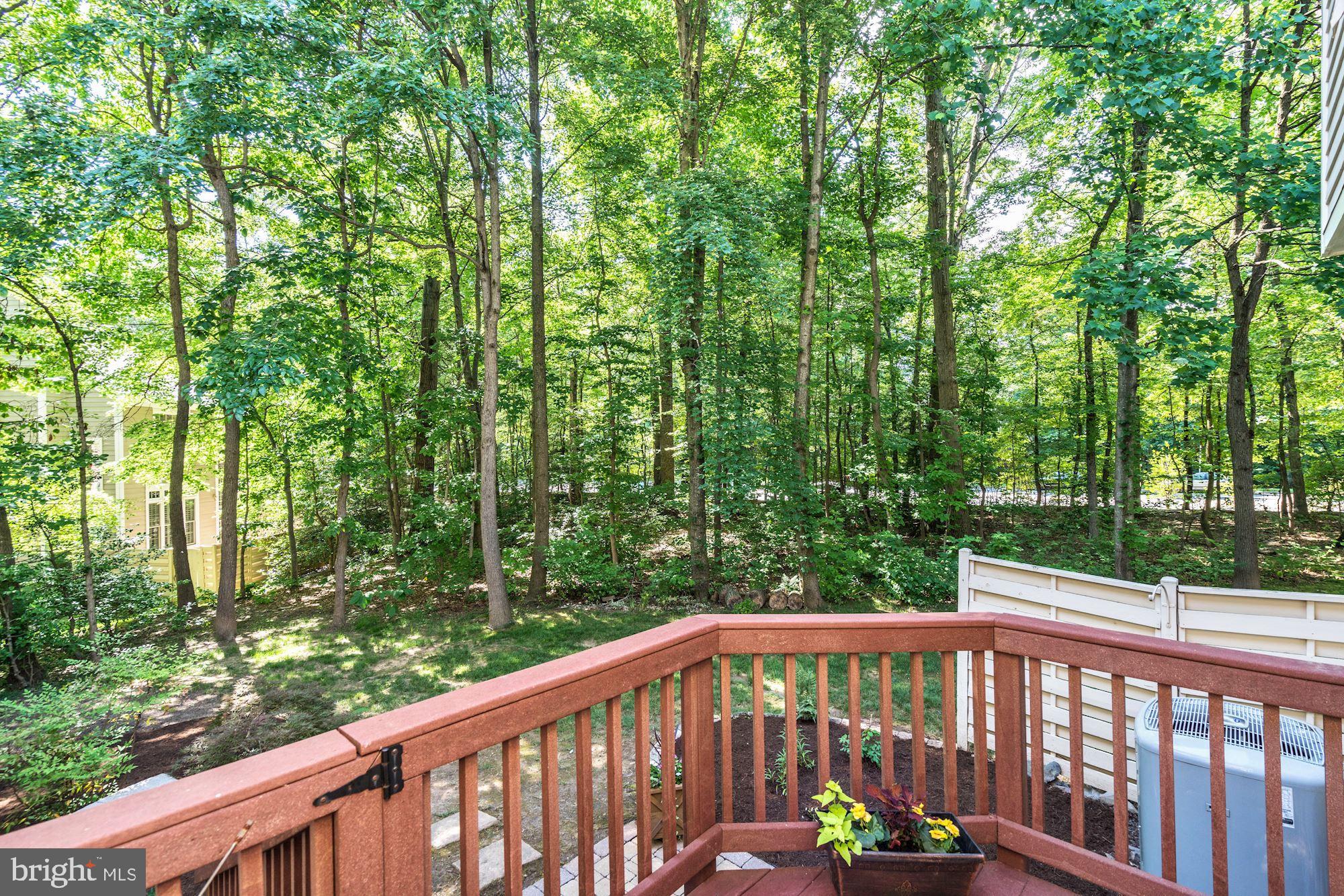 11403 Hollow Timber Way Reston, VA 20194 - Photo 33 of 45 View of Private Backyard from Deck