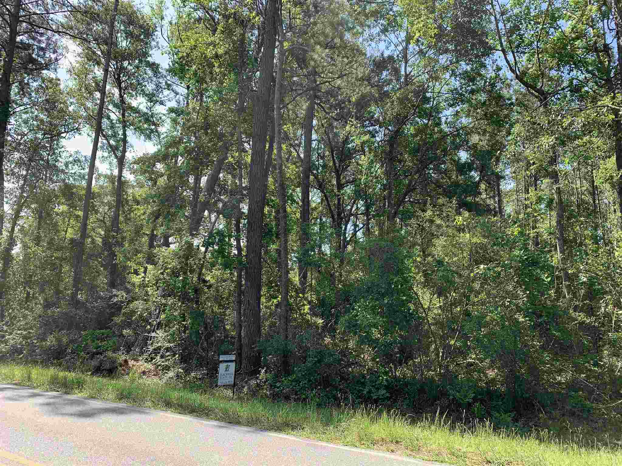 15824 Pne Grv Rd Extension North Bay Minette, AL 36507 - Photo 2 of 4