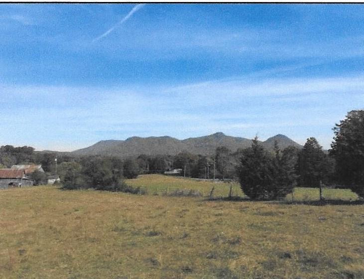 Dan McBee Road Corryton, TN 37721 - Photo 3 of 9 Scan0001 (3)