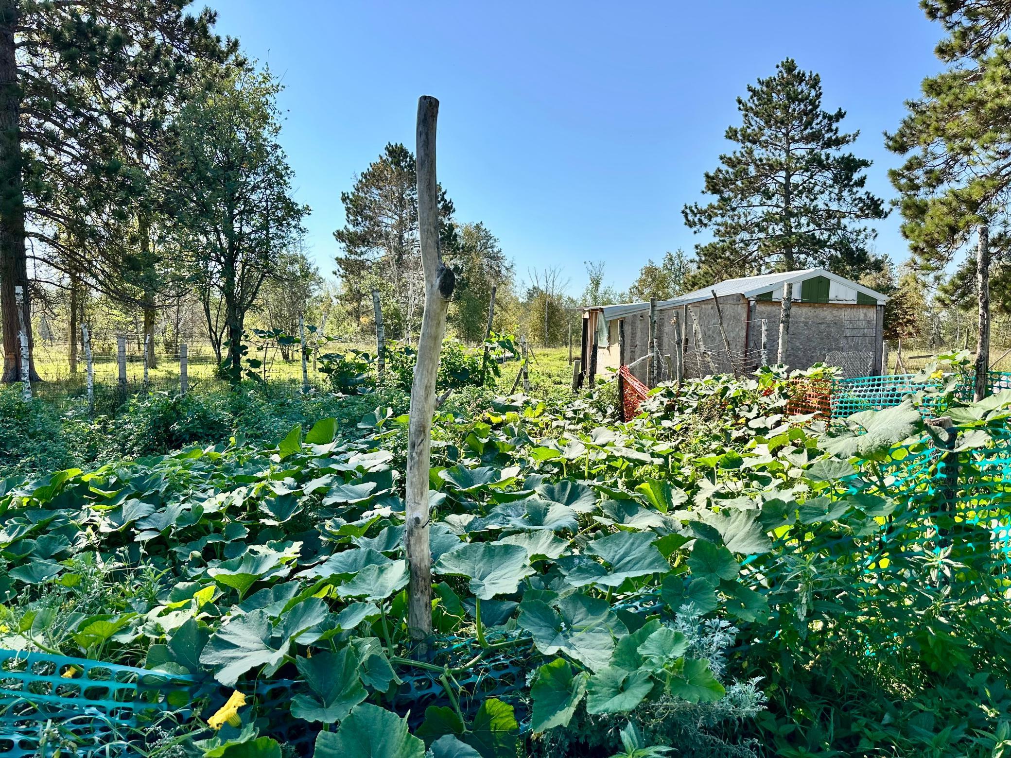 12435 340th Street Menahga, MN 56464 - Photo 63 of 67