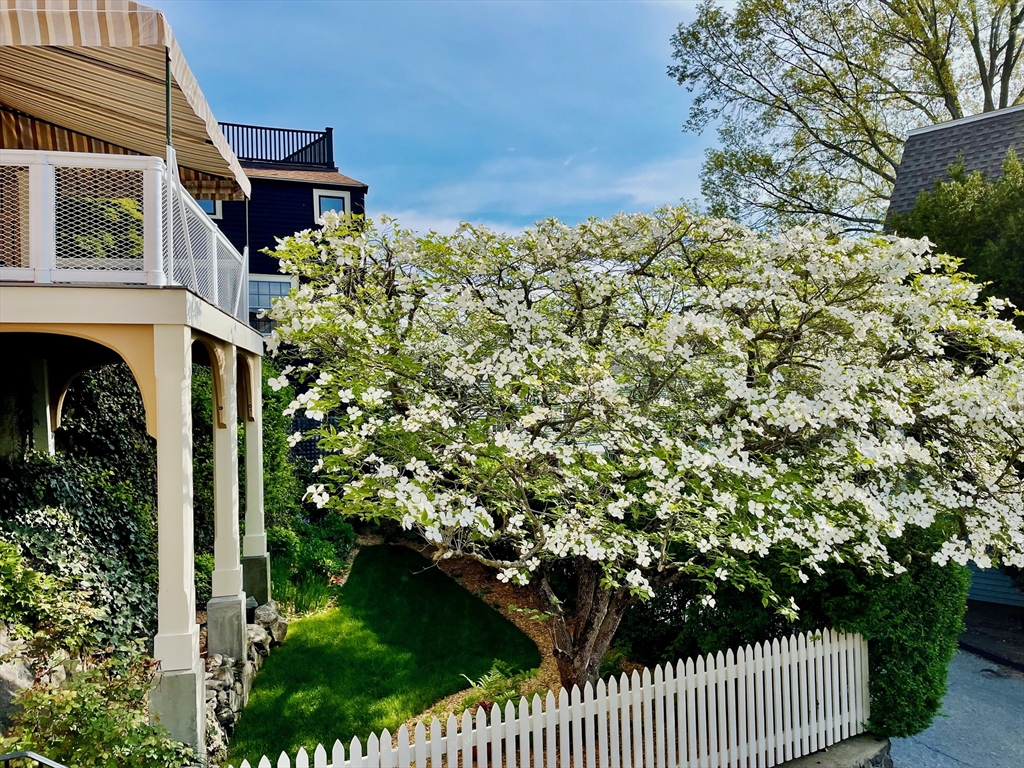 6 Lee Street Marblehead, MA 01945 - Photo 42 of 42