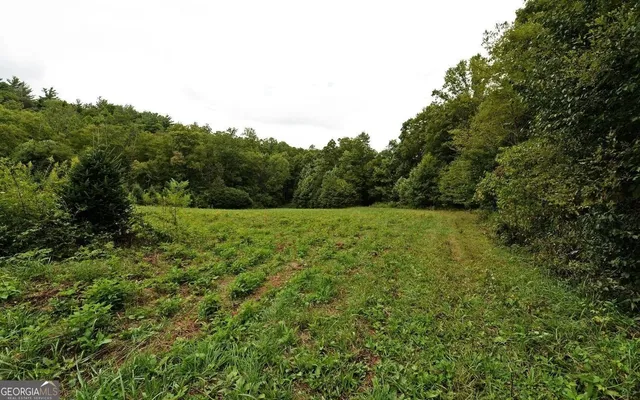 $3,500,000 | 1575 Lloyd Cove Road, Highlands, NC 28741