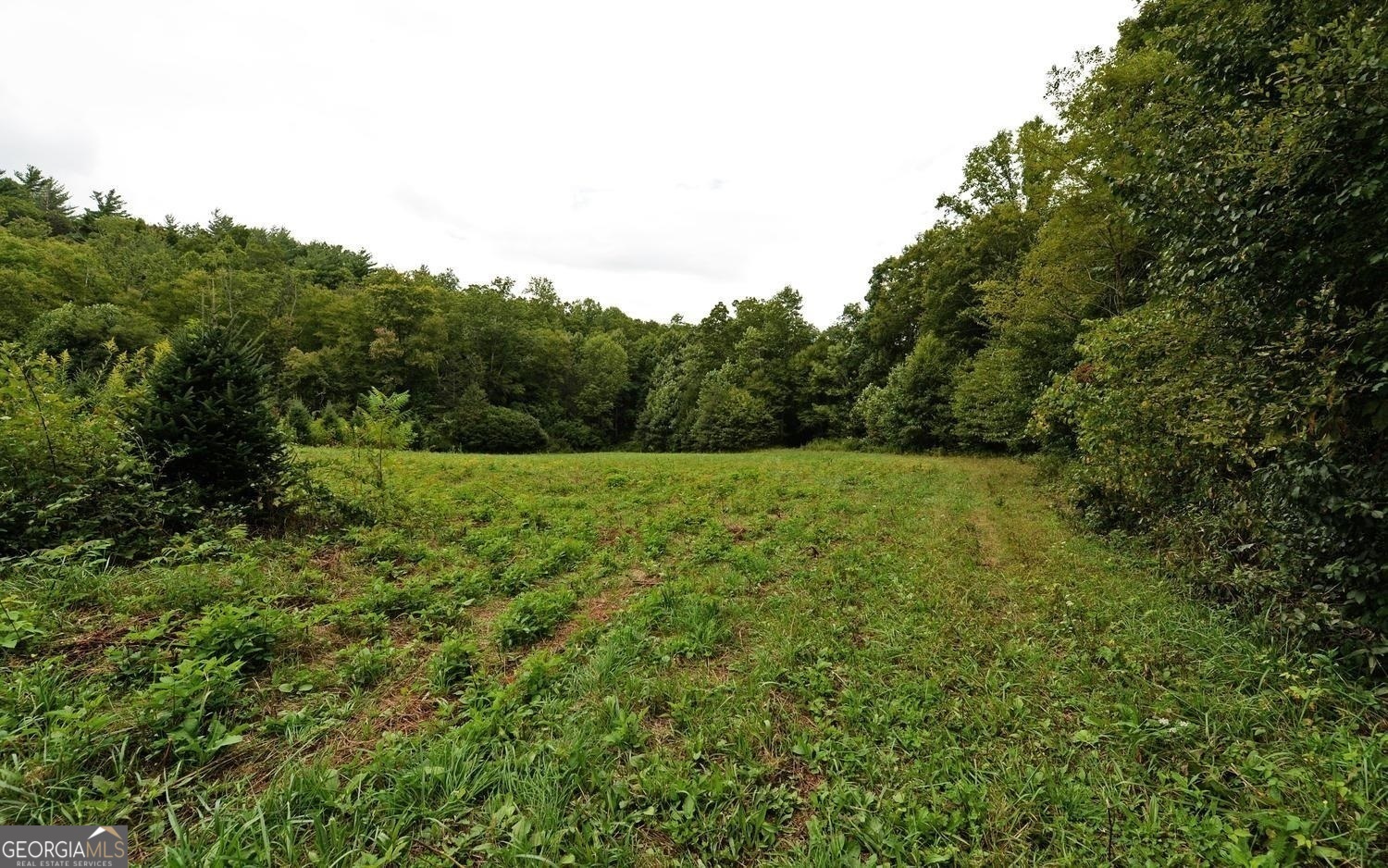 1575 Lloyd Cove Road Highlands, NC 28741 - Photo 12 of 31