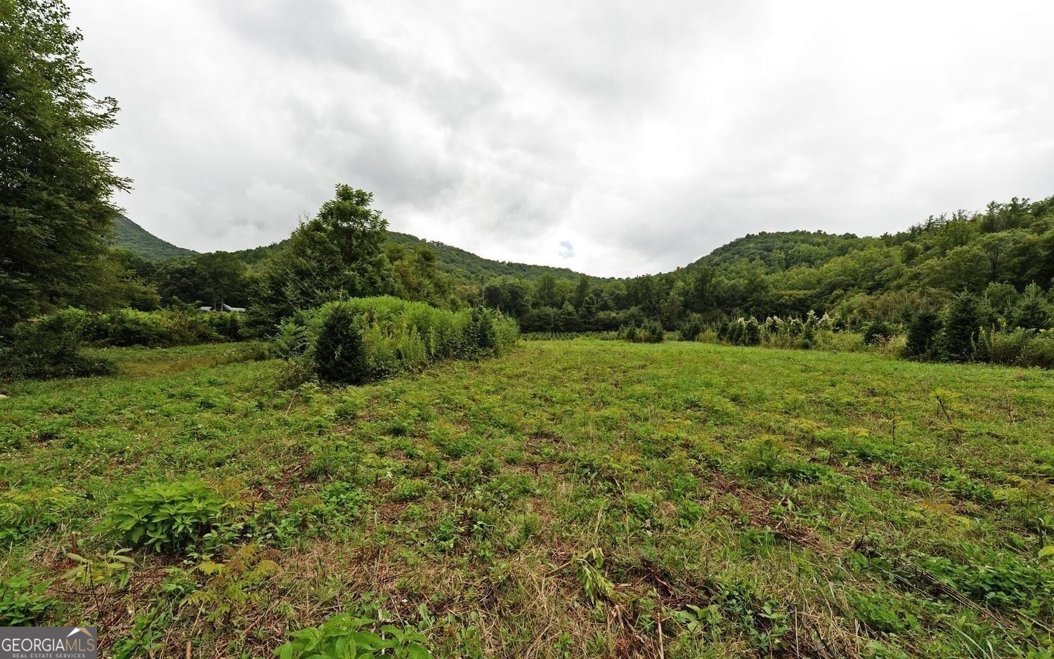 1575 Lloyd Cove Road Highlands, NC 28741 - Photo 15 of 31