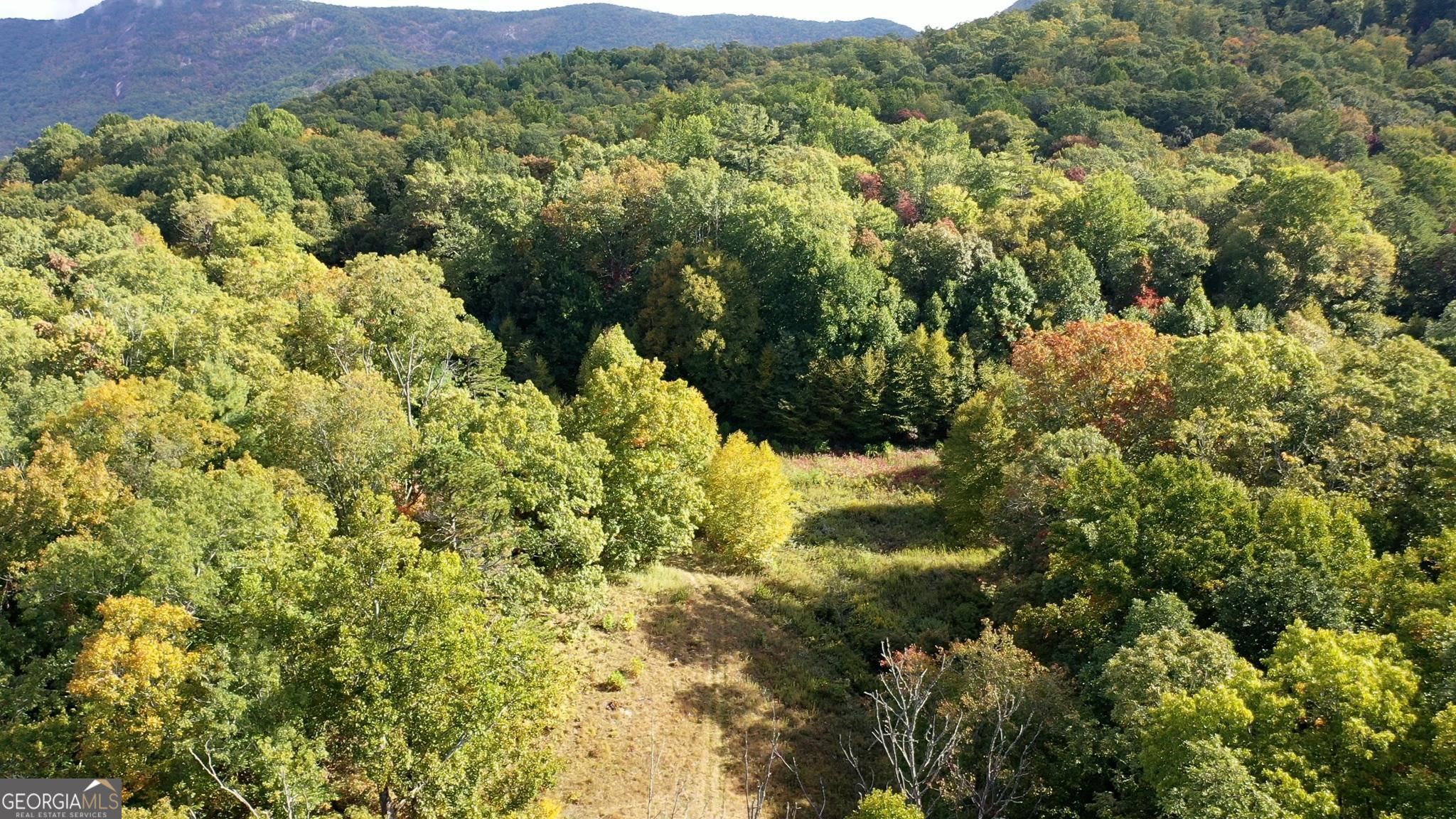 1575 Lloyd Cove Road Highlands, NC 28741 - Photo 19 of 31